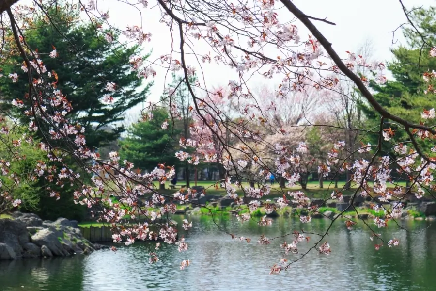 SPRING｜春